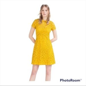ZARA TRAFALUC Mustard Yellow Lace Short Sleeve Mini Shift Dress Size Medium